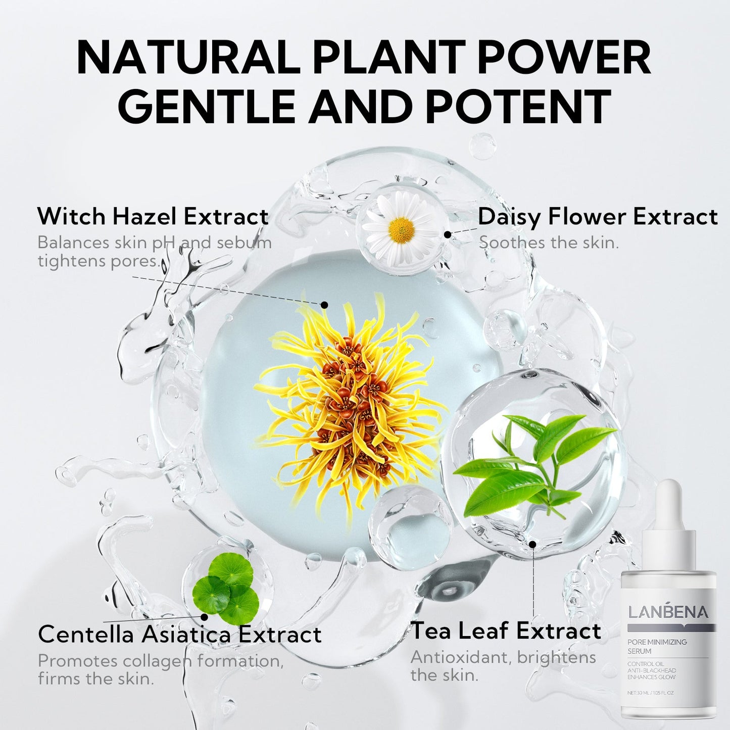 LS | Neus plant porie strips