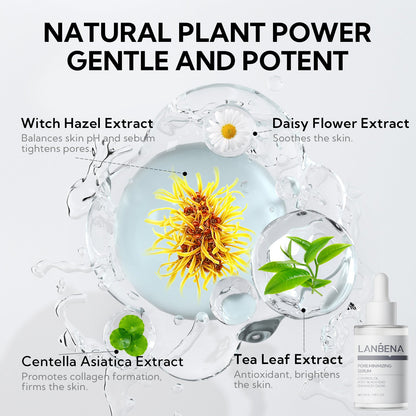 LS | Neus plant porie strips