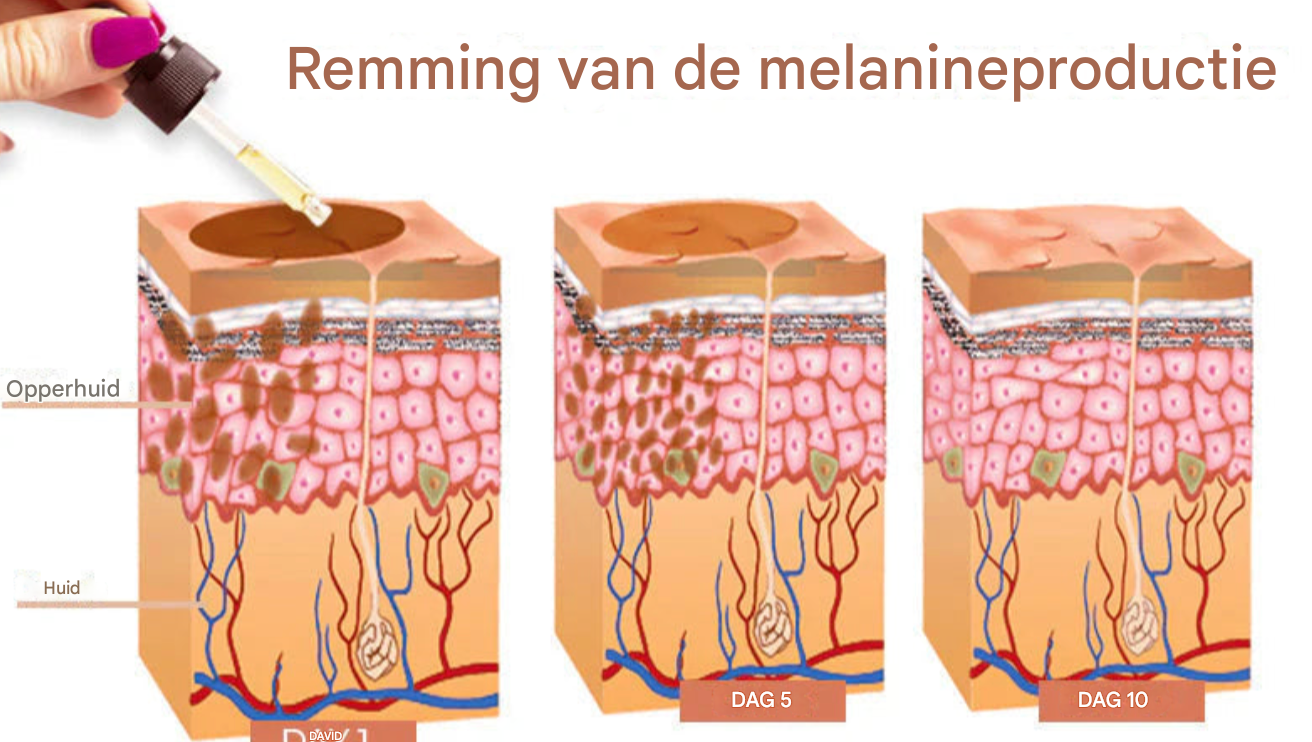 LS | Melanine huid corrigerende gezichtscreme