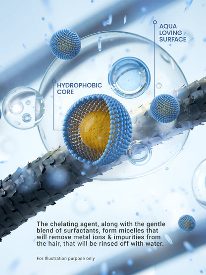 LS | Krul reset detox shampoo