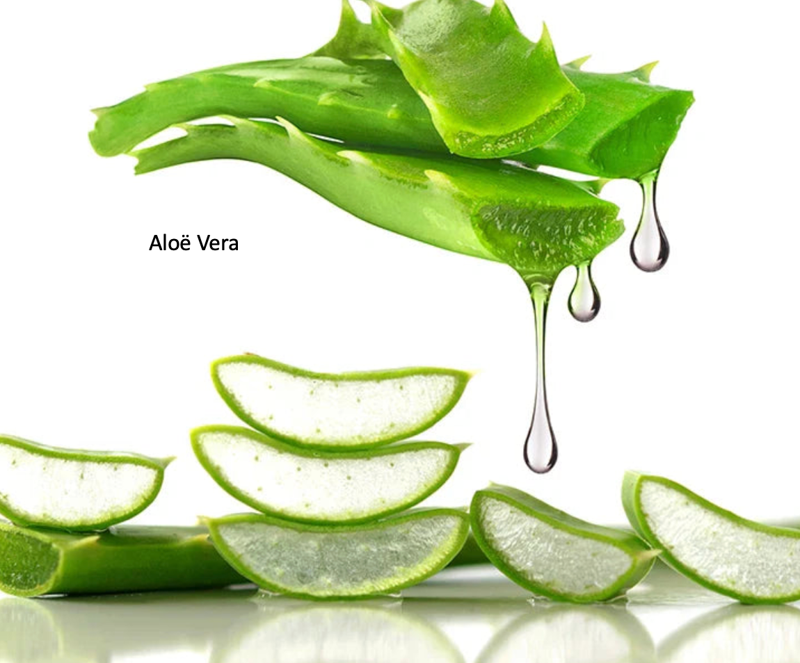 LS | Aloe vera zuiver masker 50% korting